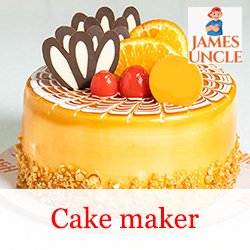 Cake maker Mrs. Debasmita Banerjee in Gobardanga